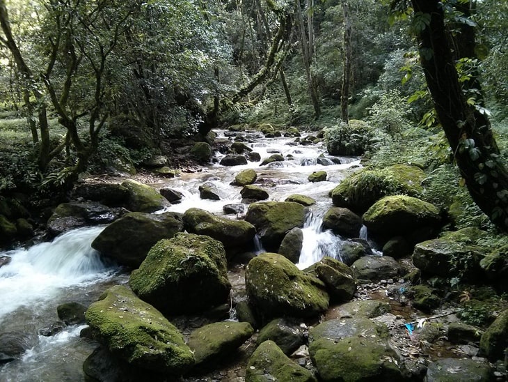 Sundarijal Chisapani trek