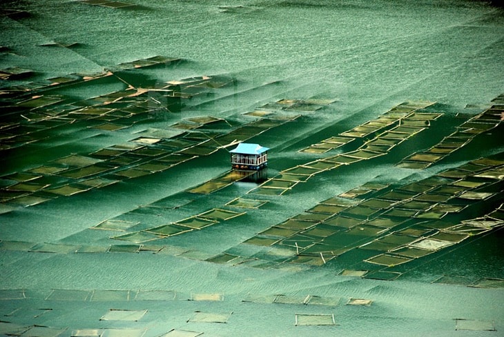 Kulekhani Dam Pharphing