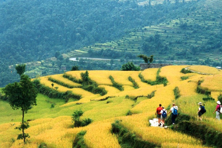 Lakuri Bhanjyang