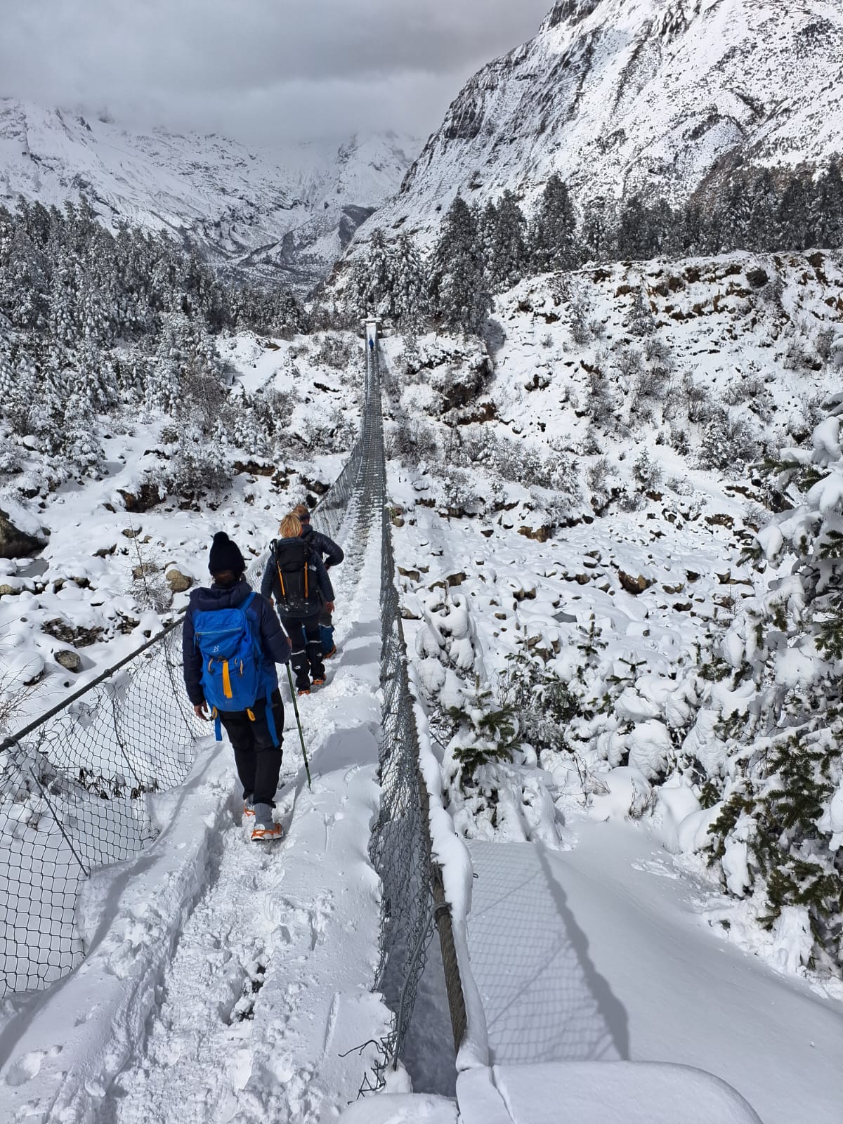 Suspension bridge full of snow.