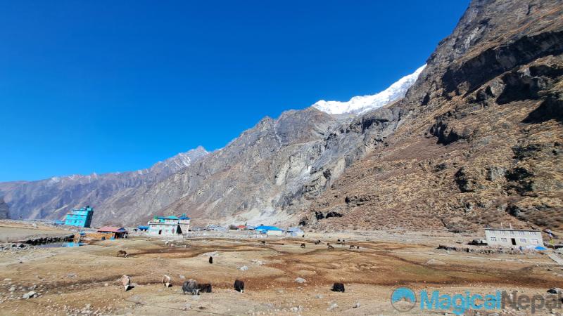 Langtang-village