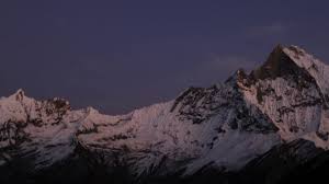 Mardi himal Low Camp – 2,900 m : 9,514.4 ft
