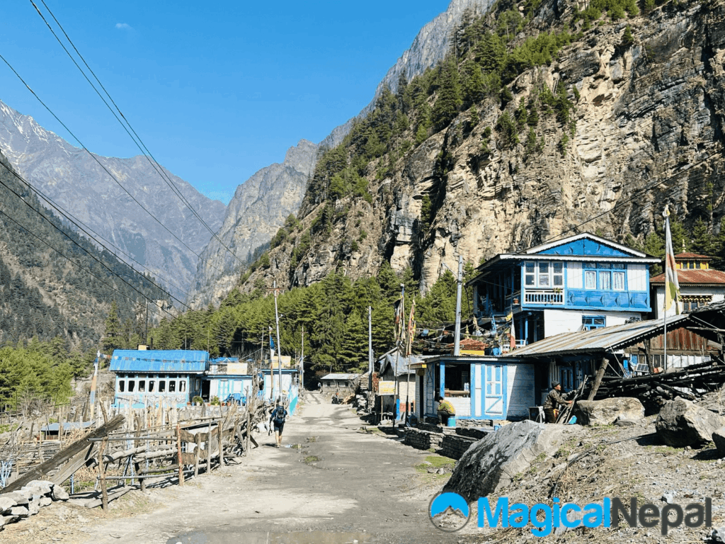 (Thaleku) Before Bhratang Day 4 after chame annapurna circuit trek