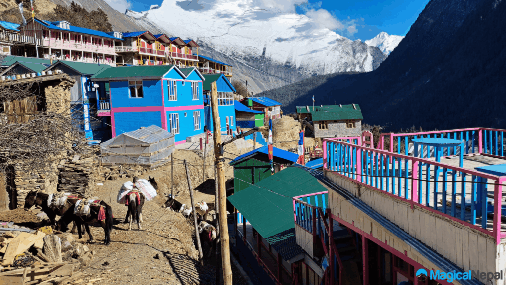 Upper pisang end point Annapurna Circuit trek