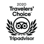 travelers choice 2020