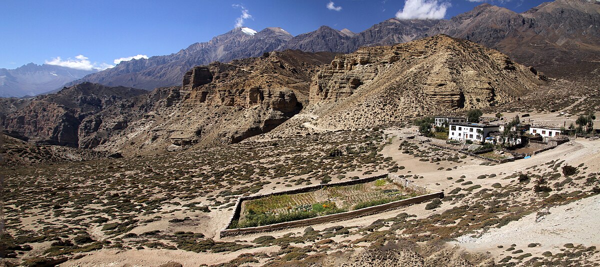 Syangmoche Mustang