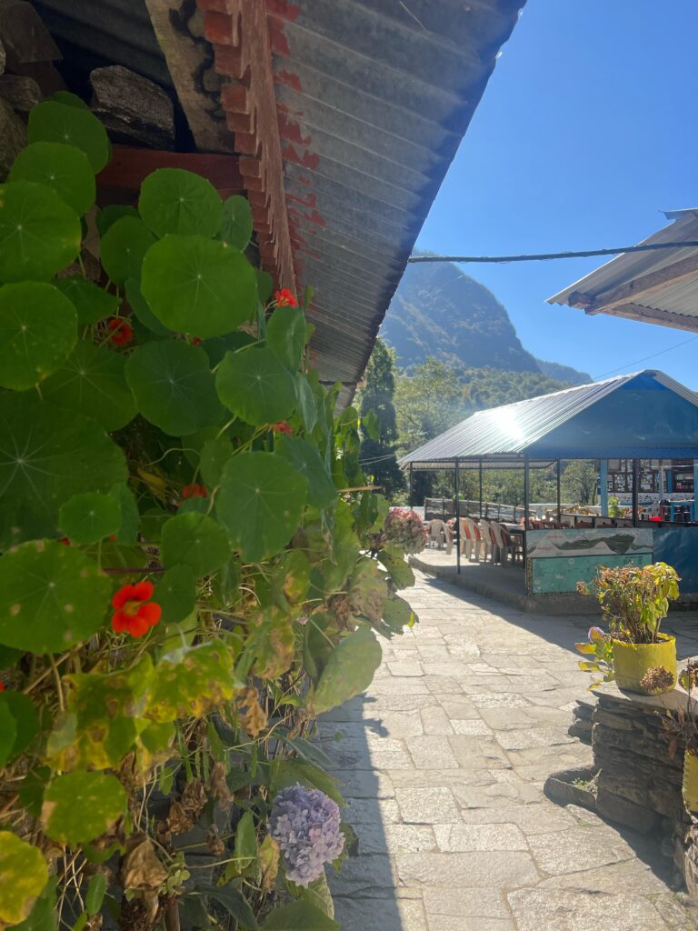 Teahouse during Annapurna Base Camp trek