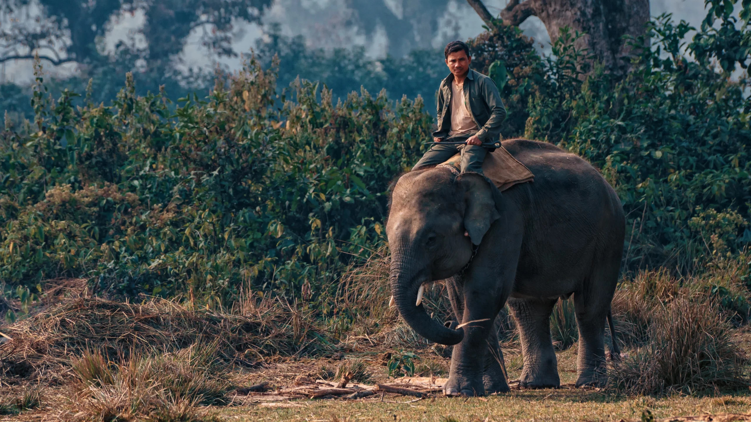 Chitwan National Park Nepal