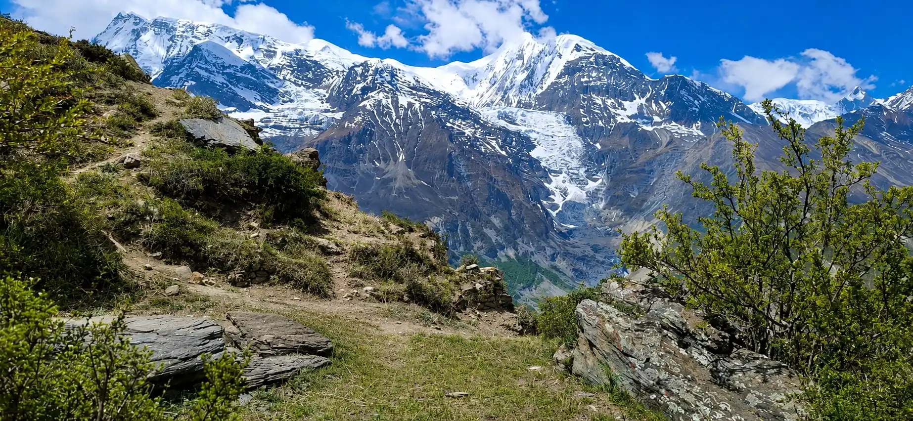 manang-view