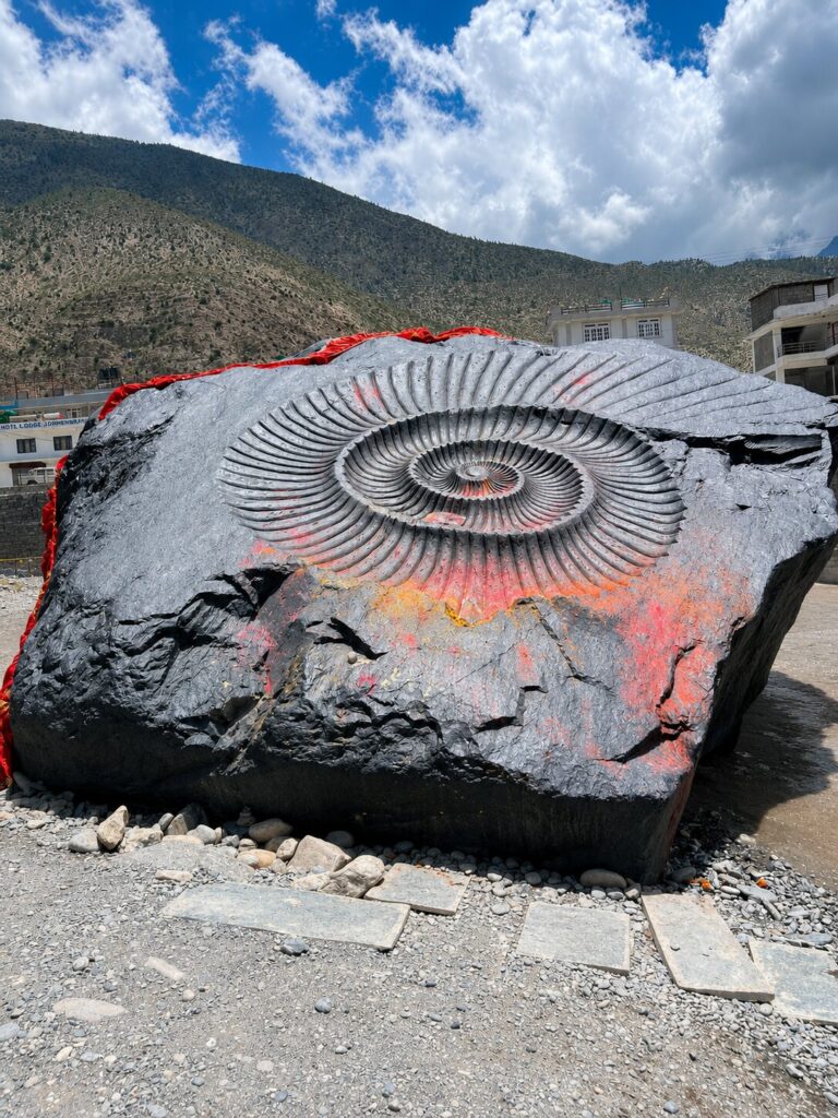 Saligram fossil at kali gandaki river