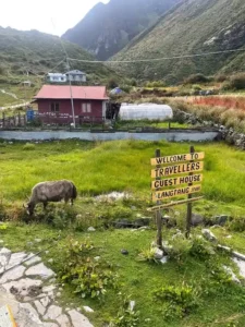Lama Hotel Langtang: Altitude, Teahouses and the Route to Langtang Village